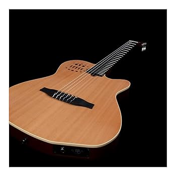 Amazon | GODIN (ゴダン) ナイロンギター エレガットギター ACS